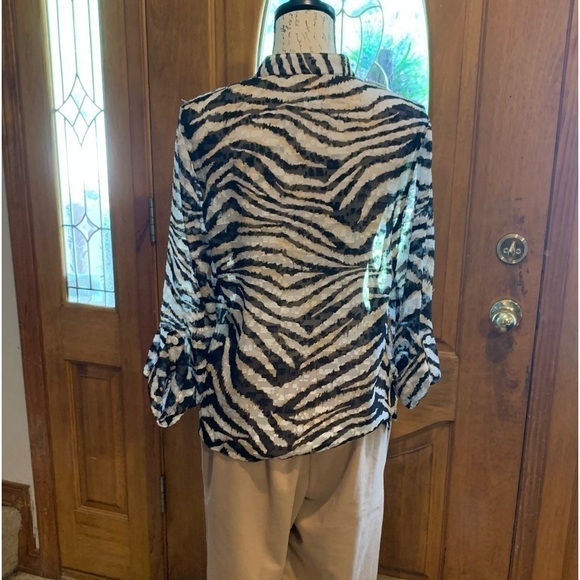 Ruby Rd. Sheer top size 8 EUC - Picture 2 of 4